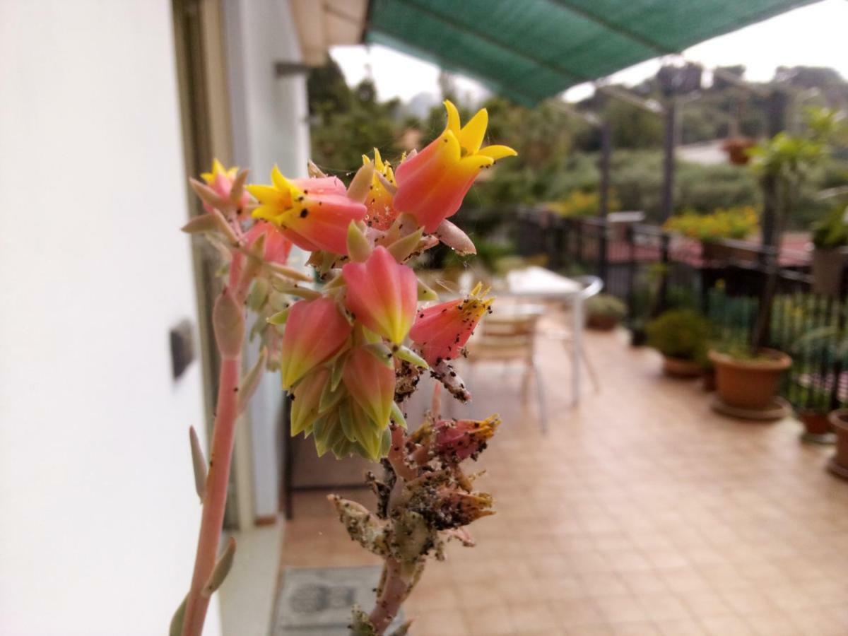 Casa Vacanze Terme Terme Vigliatore Kültér fotó